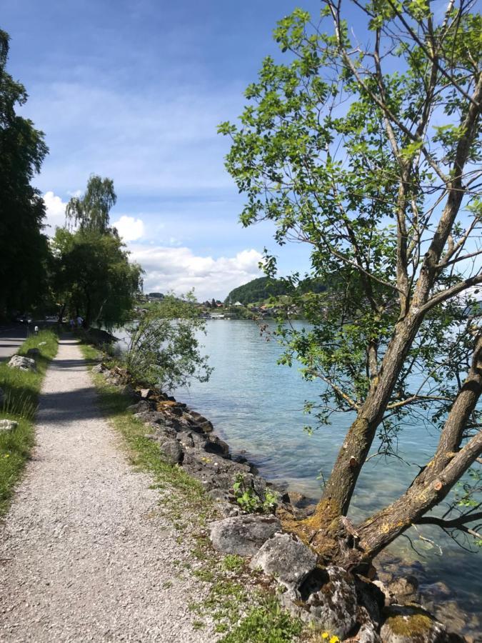 Moderne Unterkunft Mit Panoramablick Auf Thunersee Krattigen エクステリア 写真